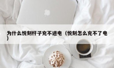 为什么悦刻杆子充不进电（悦刻怎么充不了电）