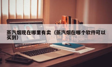 蒸汽烟现在哪里有卖（蒸汽烟在哪个软件可以买到）
